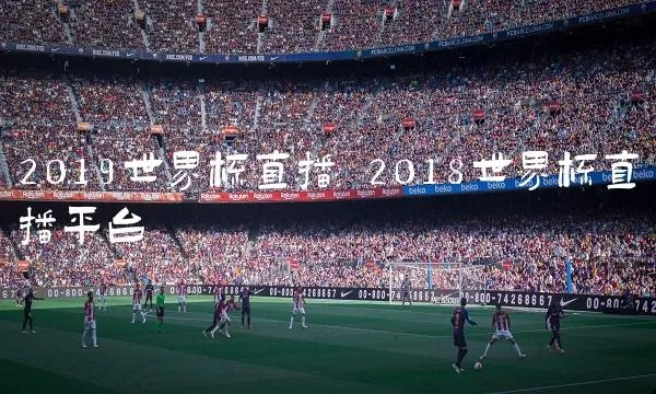 世界杯2019足球直播 世界杯2019足球直播在线观看-第2张图片-www.211178.com_果博福布斯