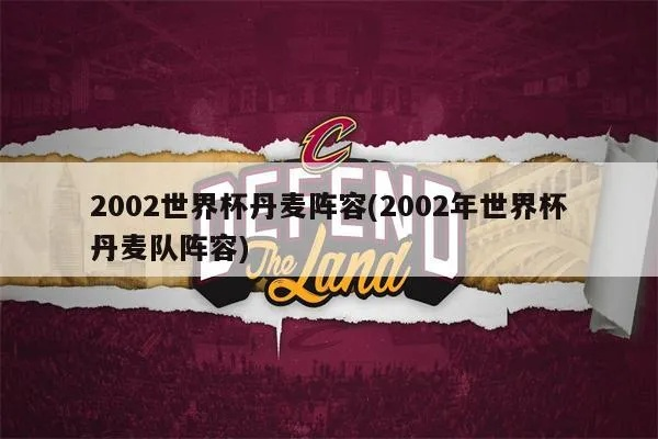 2002世界杯丹麦阵容 丹麦历届世界杯-第3张图片-www.211178.com_果博福布斯