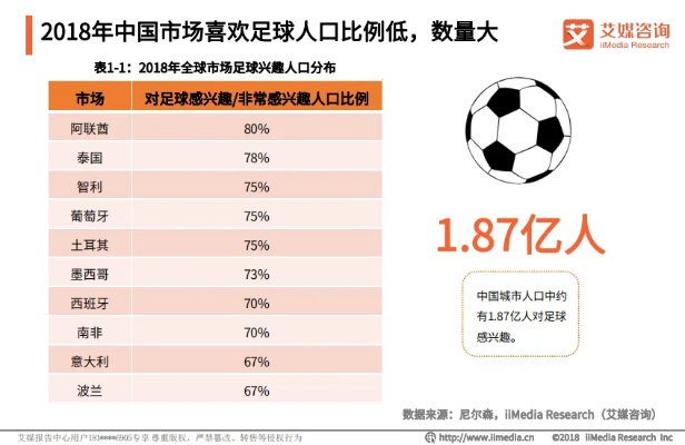 足球研究现状对比国内外的区别与趋势分析-第1张图片-www.211178.com_果博福布斯